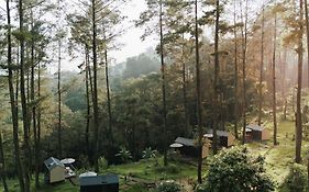 Bobocabin Pacet, Mojokerto